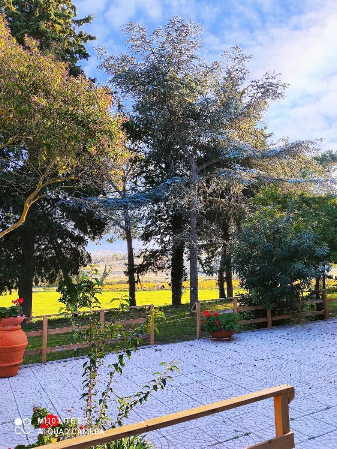 Agriturismo Pian Dell'Osa Villa Montiano  Bagian luar foto