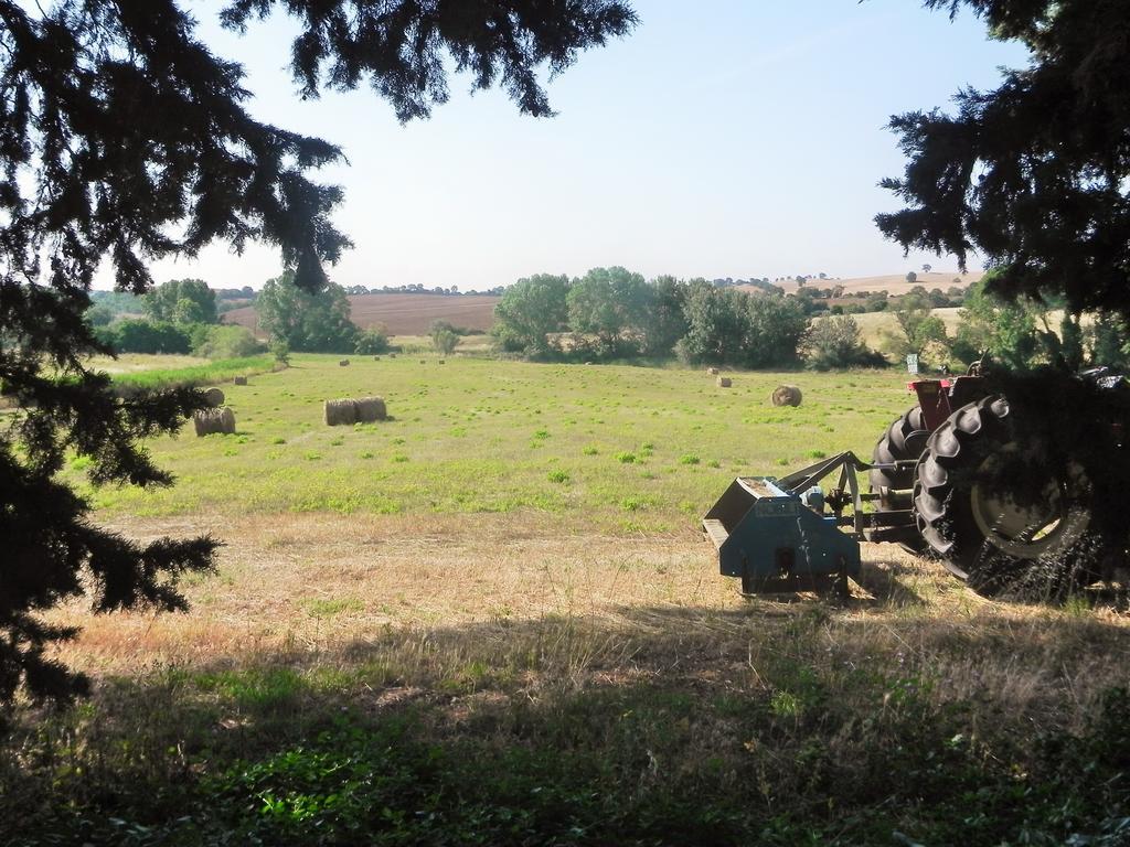 Agriturismo Pian Dell'Osa Villa Montiano  Bagian luar foto