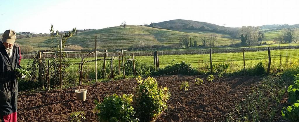 Agriturismo Pian Dell'Osa Villa Montiano  Bagian luar foto